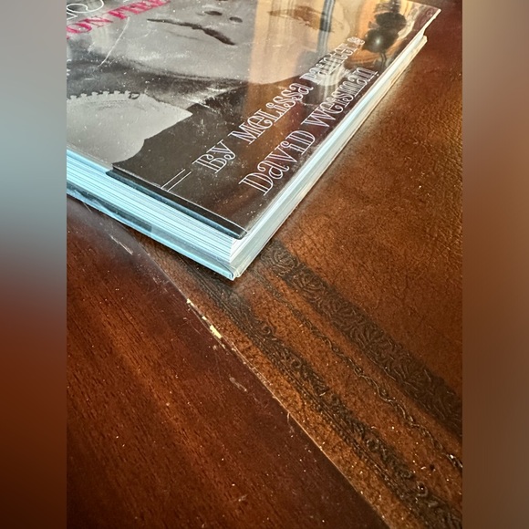 Edie Girl on Fire Book. Rare - Picture 5 of 7